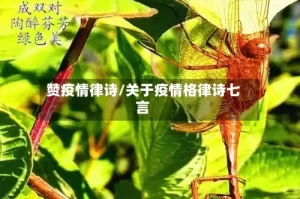 赞疫情律诗/关于疫情格律诗七言