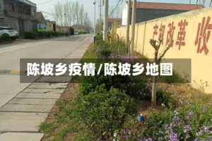陈坡乡疫情/陈坡乡地图