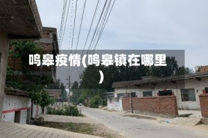 鸣皋疫情(鸣皋镇在哪里)