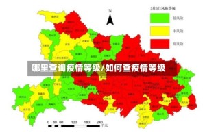 哪里查询疫情等级/如何查疫情等级