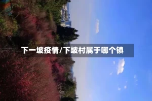 下一坡疫情/下坡村属于哪个镇
