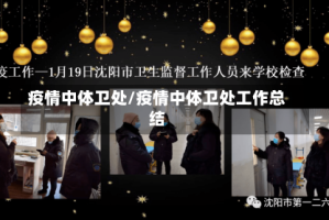 疫情中体卫处/疫情中体卫处工作总结