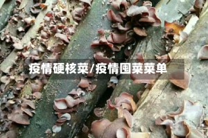 疫情硬核菜/疫情囤菜菜单