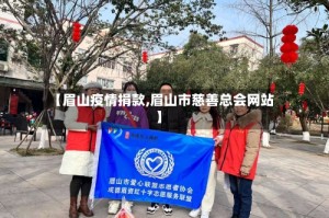 【眉山疫情捐款,眉山市慈善总会网站】