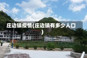 庄边镇疫情(庄边镇有多少人口)