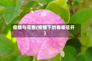 疫情与花香(疫情下的春暖花开)