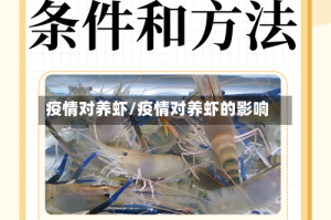 疫情对养虾/疫情对养虾的影响