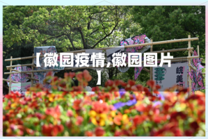 【徽园疫情,徽园图片】