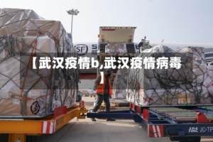 【武汉疫情b,武汉疫情病毒】