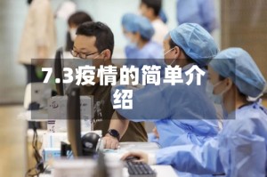 7.3疫情的简单介绍