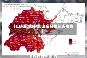 【山东冠状疫情,山东冠性肺炎疫情】