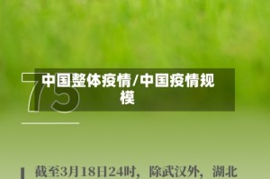 中国整体疫情/中国疫情规模