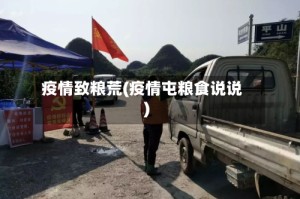 疫情致粮荒(疫情屯粮食说说)