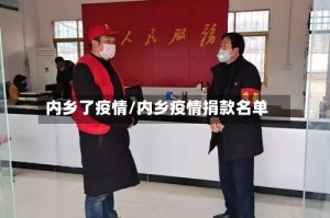 内乡了疫情/内乡疫情捐款名单