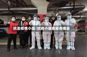 抗击疫情小组/抗疫小组名称有哪些