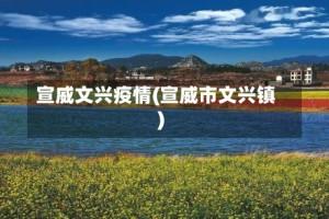 宣威文兴疫情(宣威市文兴镇)