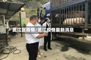 武江区疫情/武江疫情最新消息