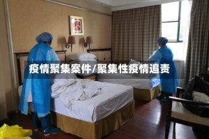 疫情聚集案件/聚集性疫情追责