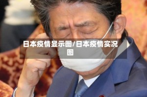 日本疫情显示图/日本疫情实况图