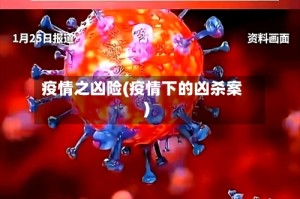 疫情之凶险(疫情下的凶杀案)