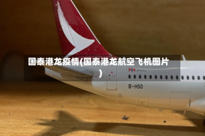 国泰港龙疫情(国泰港龙航空飞机图片)