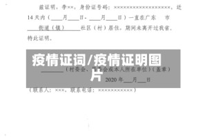 疫情证词/疫情证明图片