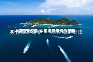 中国遭受疫情/中国遭受疫情的原因