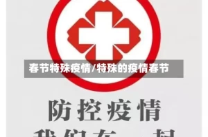 春节特殊疫情/特殊的疫情春节