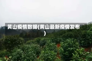 黄山疫情数据(黄山最新疫情发布)