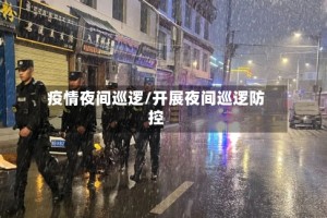 疫情夜间巡逻/开展夜间巡逻防控