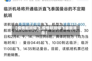 【疫情航班停飞,疫情航班停飞最新消息】