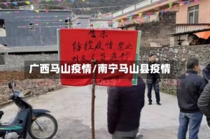广西马山疫情/南宁马山县疫情