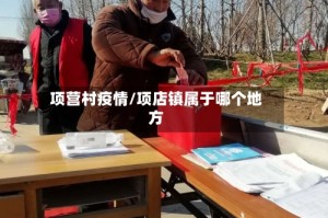 项营村疫情/项店镇属于哪个地方