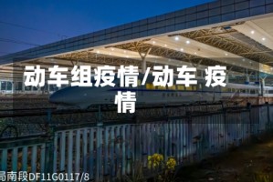动车组疫情/动车 疫情