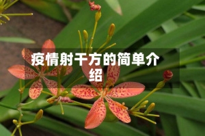 疫情射干方的简单介绍