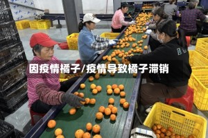 因疫情橘子/疫情导致橘子滞销