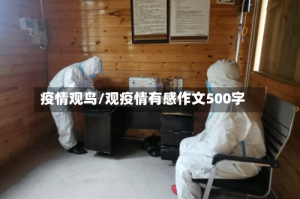 疫情观鸟/观疫情有感作文500字