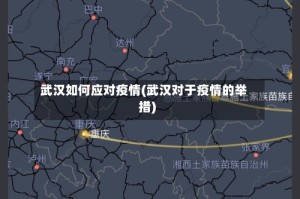 武汉如何应对疫情(武汉对于疫情的举措)
