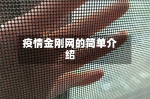 疫情金刚网的简单介绍