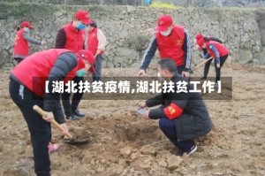 【湖北扶贫疫情,湖北扶贫工作】