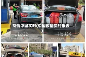 疫情中国实时(中国疫情实时报表)