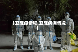 【卫辉疫情程,卫辉病例情况】