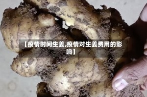 【疫情时间生姜,疫情对生姜费用的影响】
