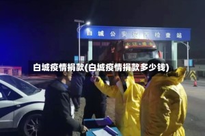 白城疫情捐款(白城疫情捐款多少钱)