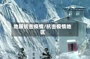 地服抗击疫情/抗击疫情地区