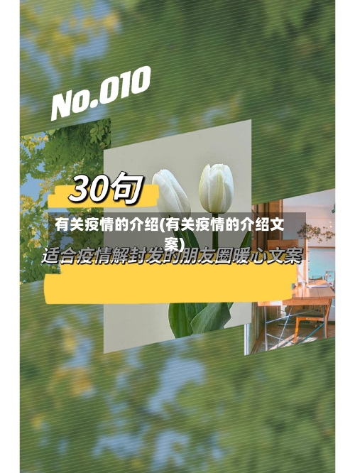 有关疫情的介绍(有关疫情的介绍文案)-第1张图片