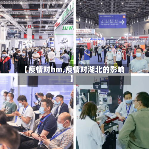 【疫情对hm,疫情对湖北的影响】-第2张图片