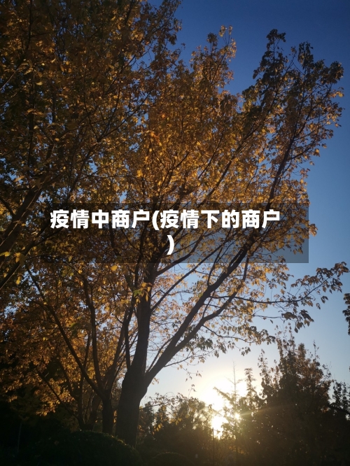 疫情中商户(疫情下的商户)-第1张图片
