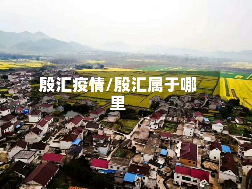 殷汇疫情/殷汇属于哪里-第3张图片