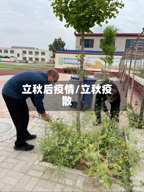 立秋后疫情/立秋疫散-第1张图片